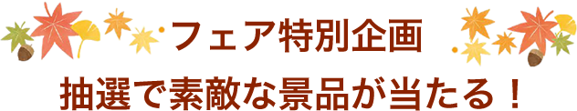 フェア特別企画　抽選で素敵な景品が当たる！