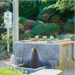 宵紫材料・不動の大井戸の水