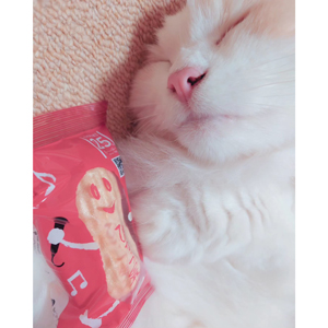 ぴーなっつ最中instagramフォトコンテスト2023当選者作品12